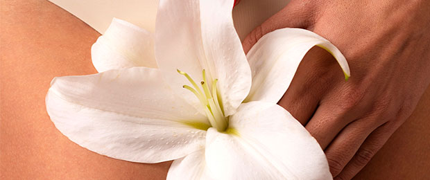 Flor blanca