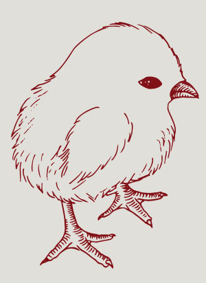 Ilustracion de pollo