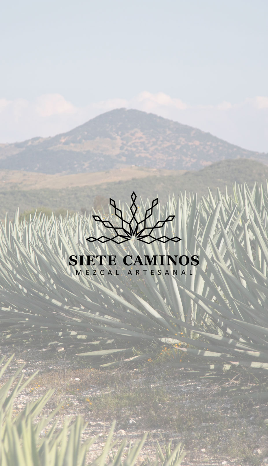Siete caminos